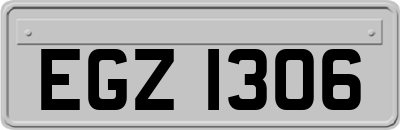 EGZ1306