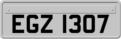 EGZ1307