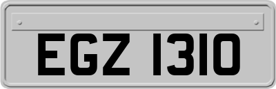 EGZ1310