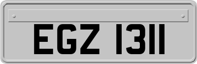 EGZ1311