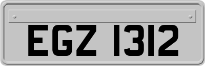 EGZ1312