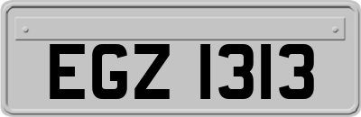 EGZ1313