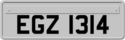 EGZ1314