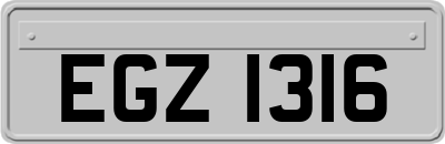 EGZ1316