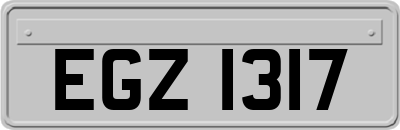 EGZ1317