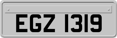 EGZ1319