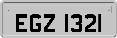 EGZ1321