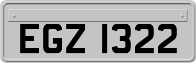 EGZ1322