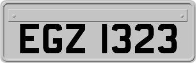 EGZ1323
