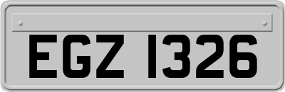 EGZ1326