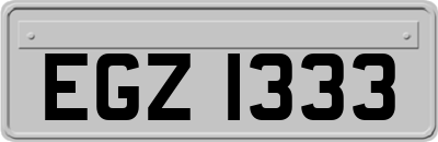 EGZ1333