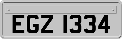 EGZ1334