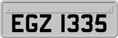 EGZ1335