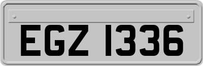 EGZ1336