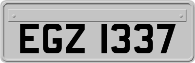 EGZ1337