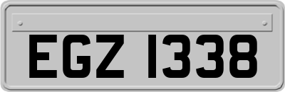 EGZ1338