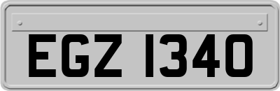 EGZ1340