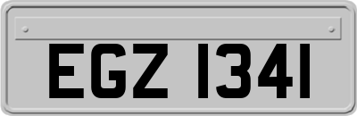 EGZ1341