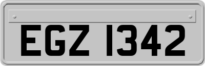 EGZ1342