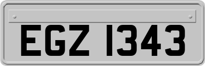 EGZ1343
