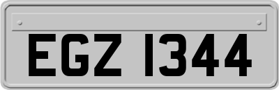 EGZ1344