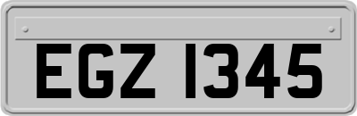 EGZ1345