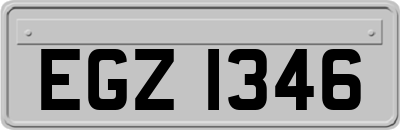 EGZ1346