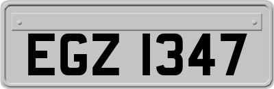 EGZ1347