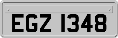 EGZ1348