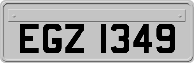EGZ1349