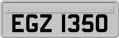 EGZ1350