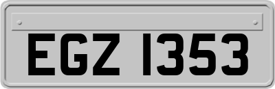 EGZ1353