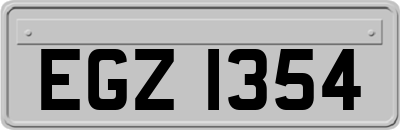EGZ1354
