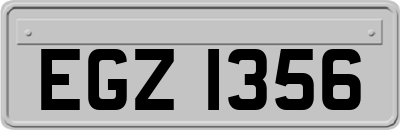 EGZ1356