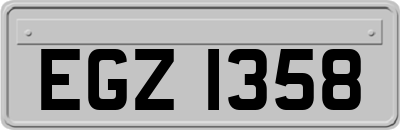 EGZ1358