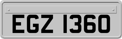 EGZ1360