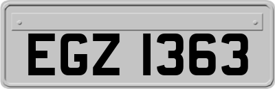 EGZ1363