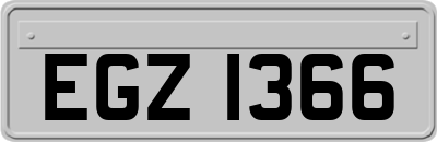 EGZ1366
