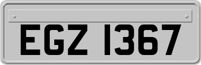 EGZ1367
