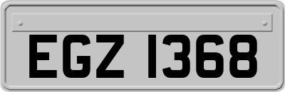 EGZ1368