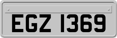 EGZ1369
