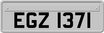 EGZ1371