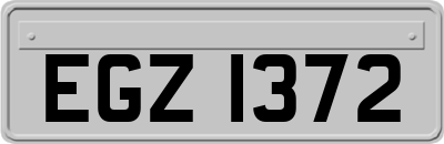 EGZ1372