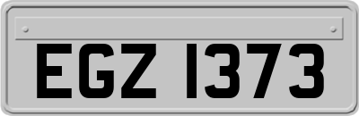 EGZ1373