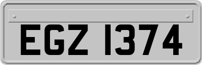 EGZ1374