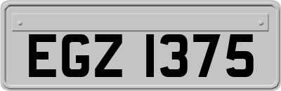 EGZ1375