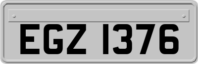 EGZ1376