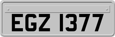 EGZ1377