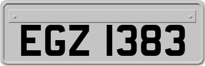 EGZ1383