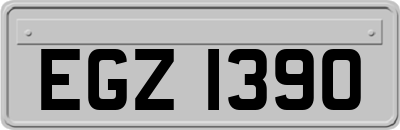 EGZ1390
